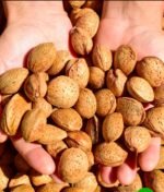 Krineel Foods Kashmiri Kagzi Almonds (In Shell) – 100% Natural | High in Badam Oil | Premium Quality | 250 gms - Image 3